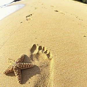 Meet your Posher, Luz